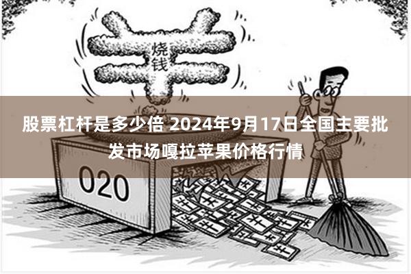 股票杠杆是多少倍 2024年9月17日全国主要批发市场嘎拉苹果价格行情