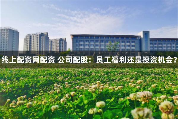 线上配资网配资 公司配股：员工福利还是投资机会？