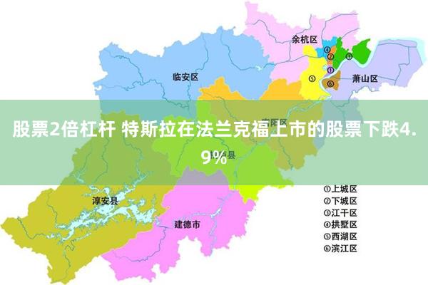 股票2倍杠杆 特斯拉在法兰克福上市的股票下跌4.9%