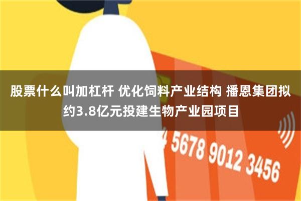 股票什么叫加杠杆 优化饲料产业结构 播恩集团拟约3.8亿元投建生物产业园项目