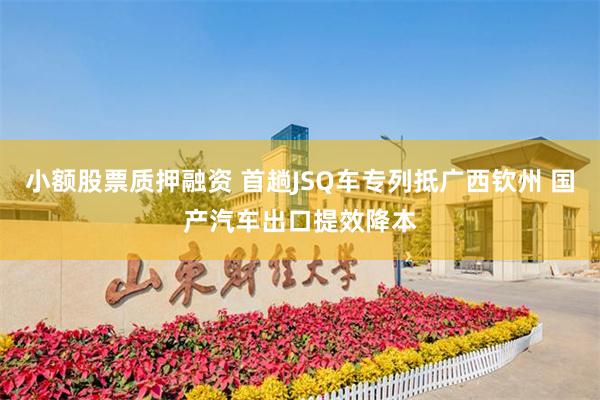 小额股票质押融资 首趟JSQ车专列抵广西钦州 国产汽车出口提效降本