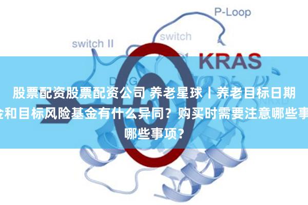 股票配资股票配资公司 养老星球丨养老目标日期基金和目标风险基金有什么异同？购买时需要注意哪些事项？