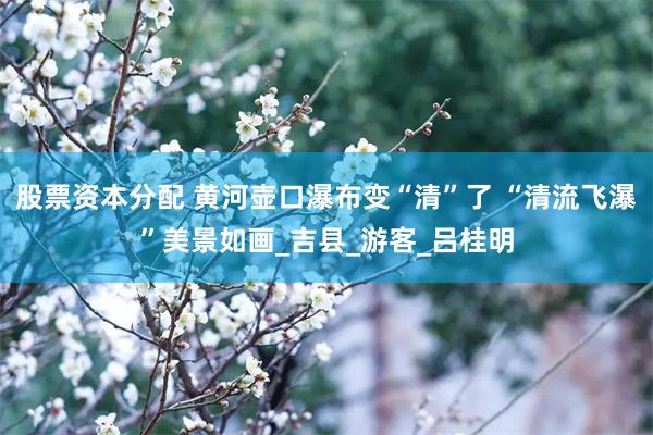股票资本分配 黄河壶口瀑布变“清”了 “清流飞瀑”美景如画_吉县_游客_吕桂明
