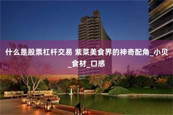 什么是股票杠杆交易 紫菜美食界的神奇配角_小贝_食材_口感