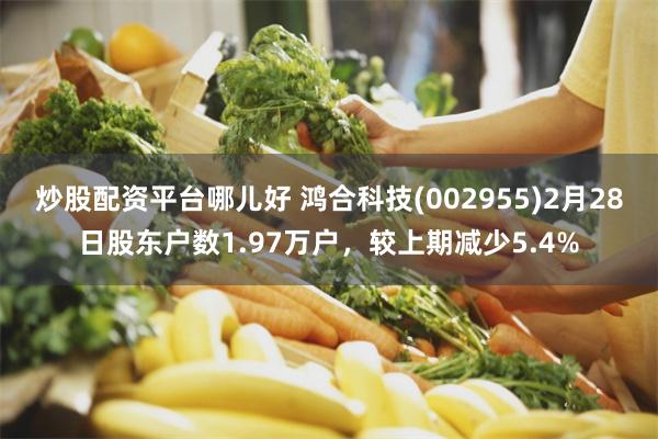 炒股配资平台哪儿好 鸿合科技(002955)2月28日股东户数1.97万户，较上期减少5.4%