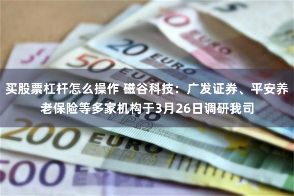 买股票杠杆怎么操作 磁谷科技：广发证券、平安养老保险等多家机构于3月26日调研我司