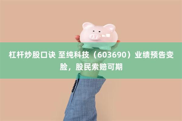 杠杆炒股口诀 至纯科技（603690）业绩预告变脸，股民索赔可期