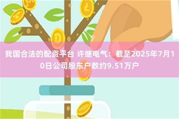 我国合法的配资平台 许继电气：截至2025年7月10日公司股东户数约9.51万户
