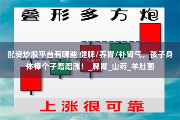 配资炒股平台有哪些 健脾/养胃/补肾气，孩子身体棒个子蹭蹭涨！_脾胃_山药_羊肚菌