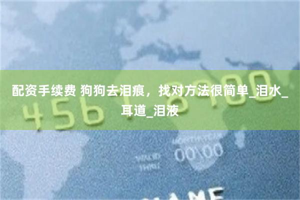 配资手续费 狗狗去泪痕，找对方法很简单_泪水_耳道_泪液