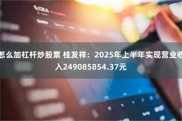 怎么加杠杆炒股票 桂发祥：2025年上半年实现营业收入249085854.37元