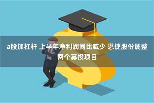 a股加杠杆 上半年净利润同比减少 恩捷股份调整两个募投项目